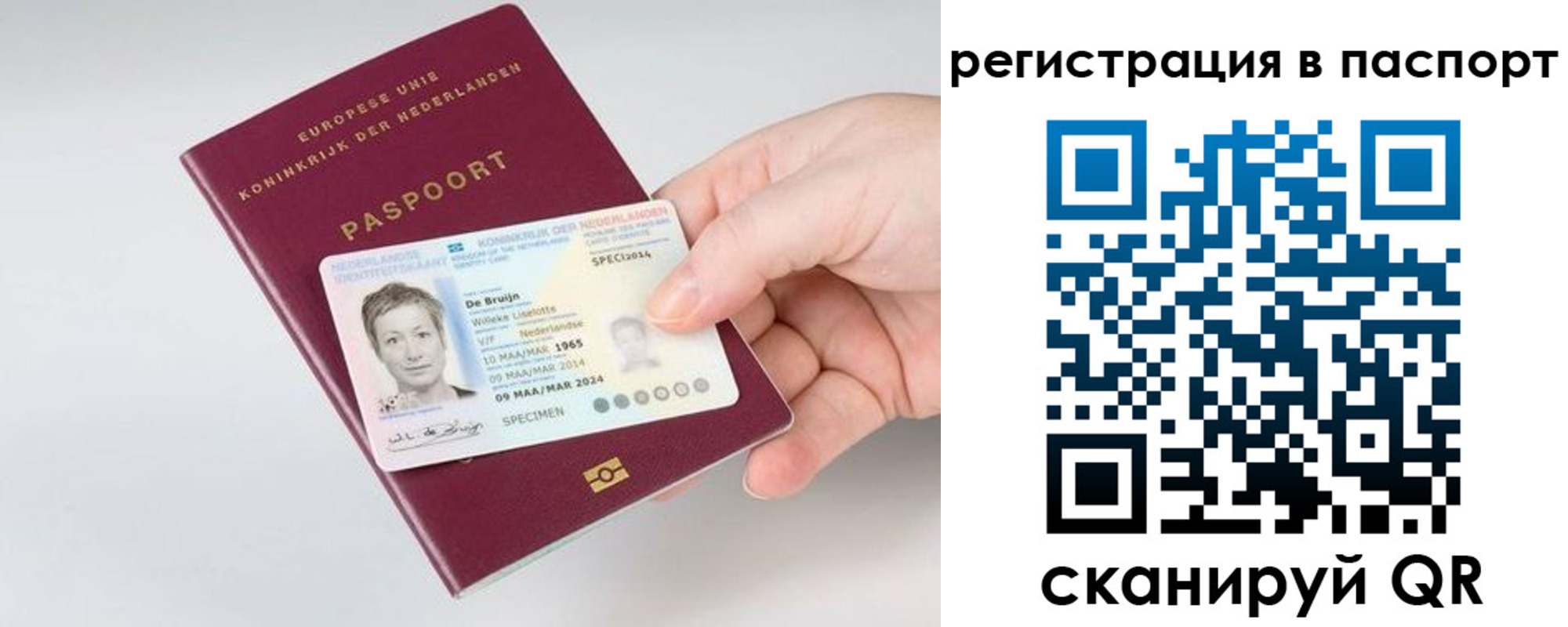 временная регистрация собственник в Орле